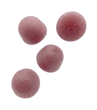 Magnezyum